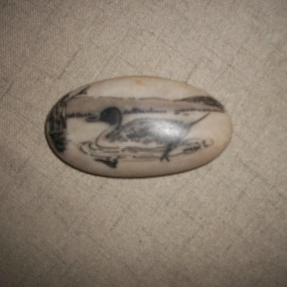 Duck art _ ARTIST SIGNED